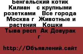 Бенгальский котик Килиан , с крупными розетками - Все города, Москва г. Животные и растения » Кошки   . Тыва респ.,Ак-Довурак г.